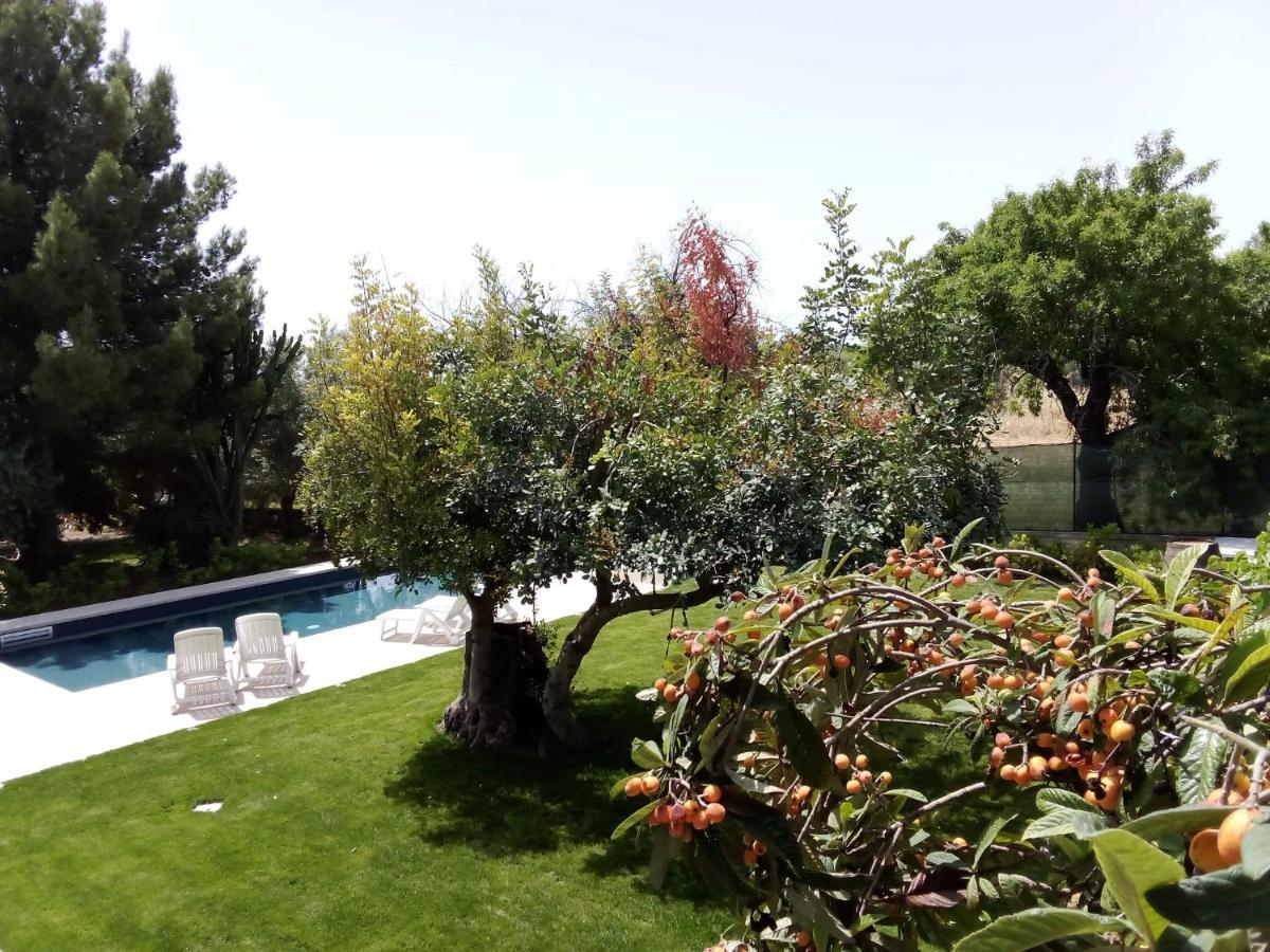 Вилла Zacchitella Garden House Розолини Экстерьер фото